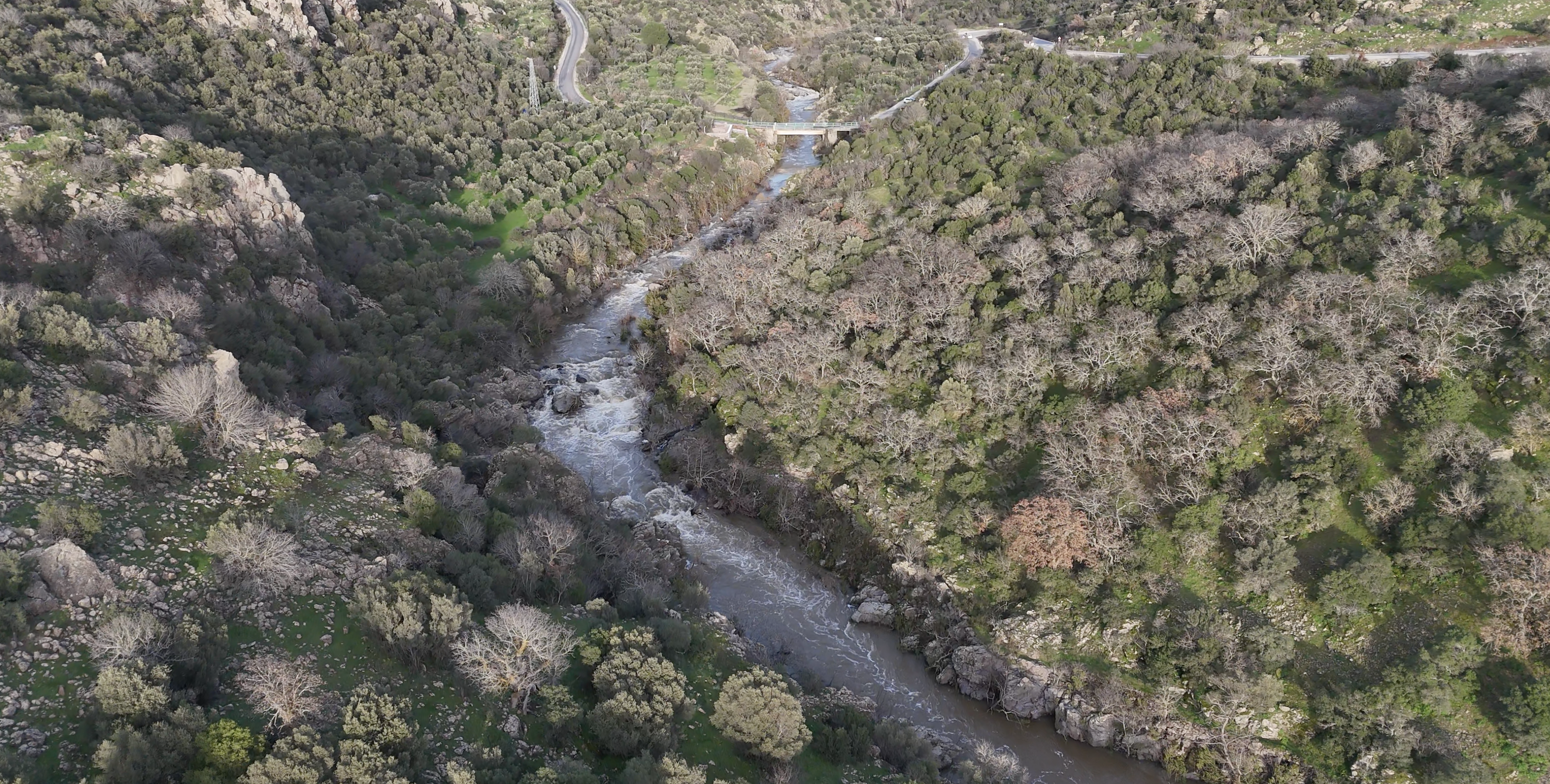 Ekran Resmi 2026 02 16 14.20.42