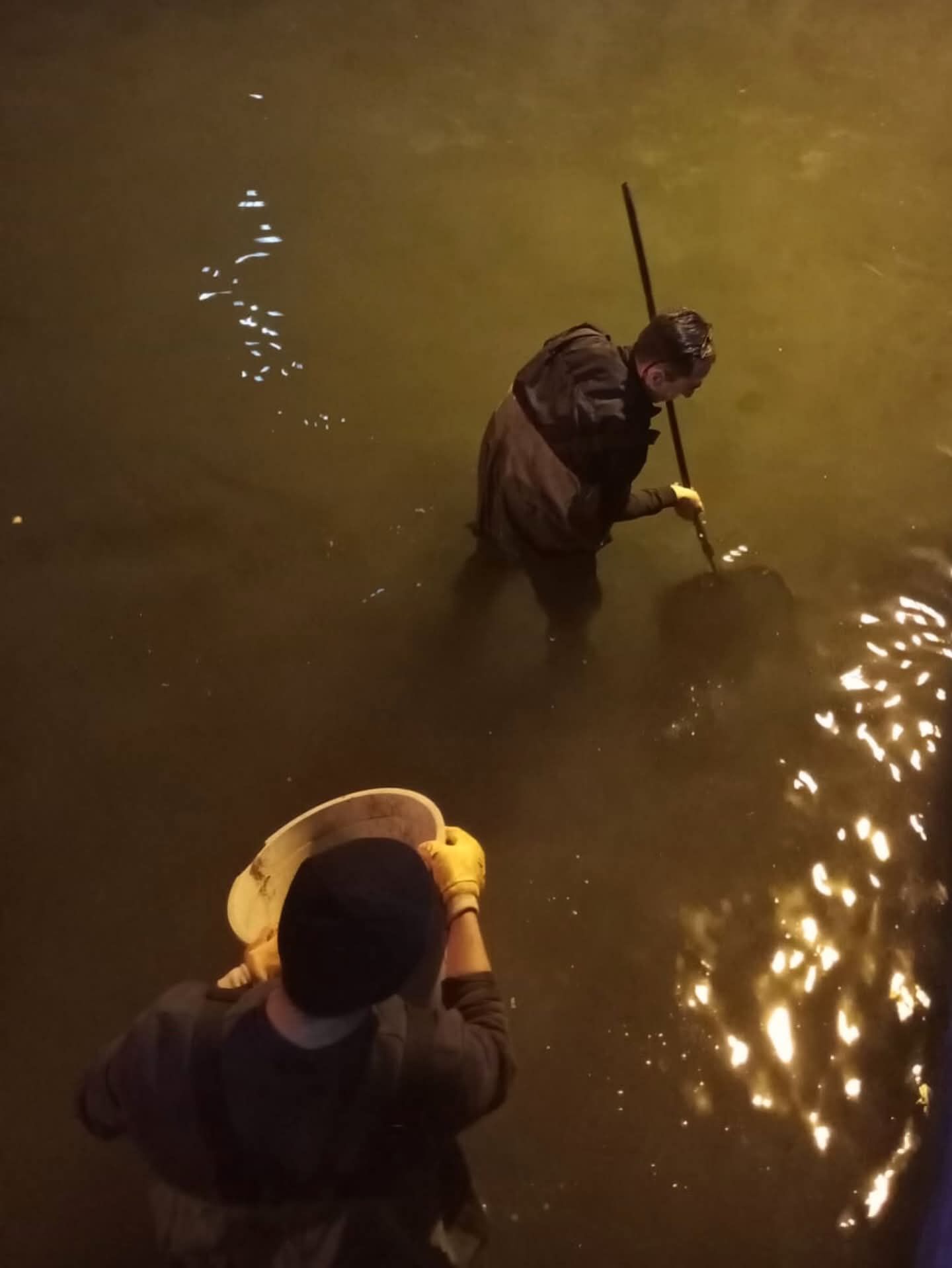 Whatsapp Image 2026 02 04 At 01.52.33 (1)