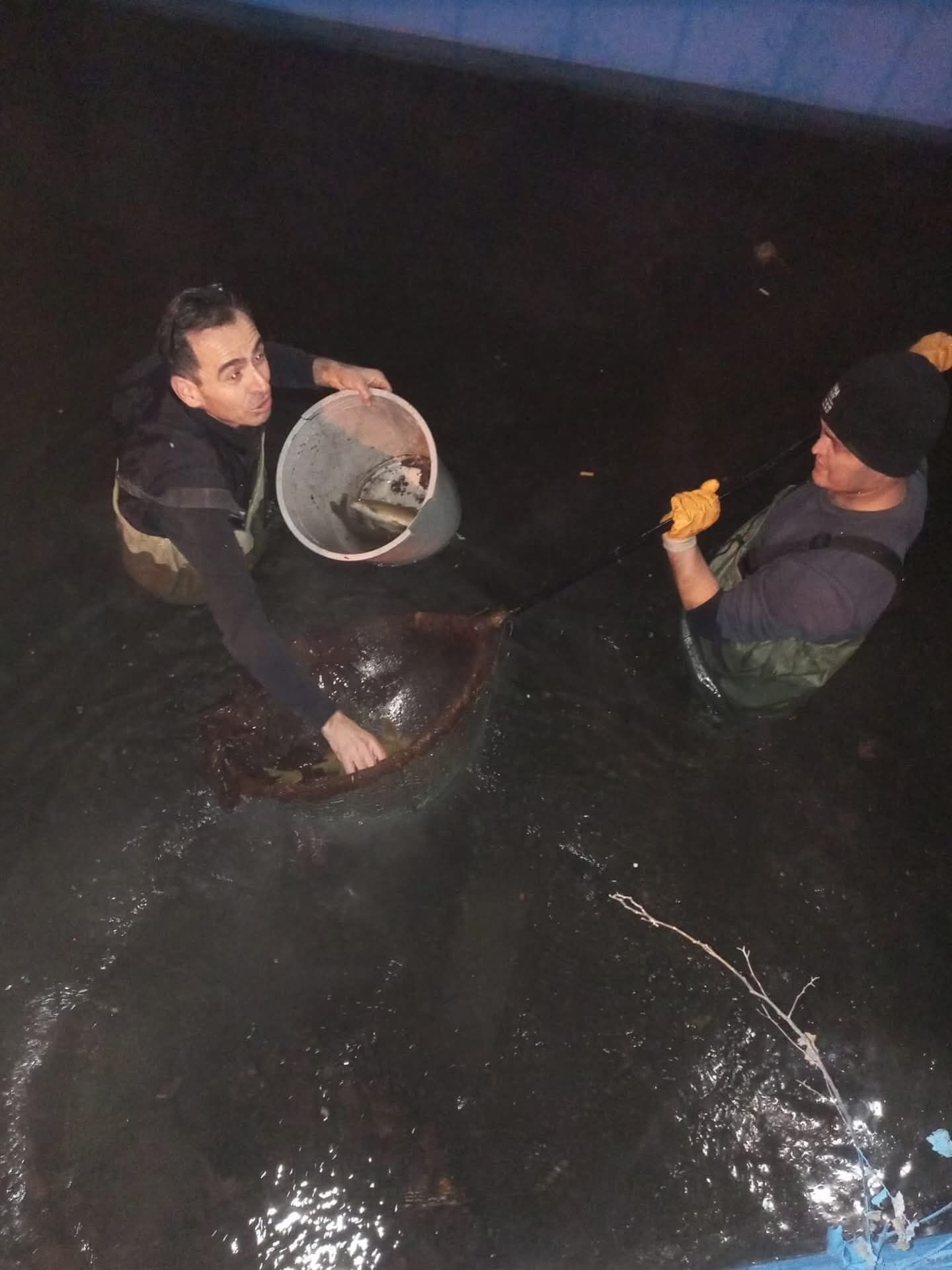 Whatsapp Image 2026 02 04 At 01.52.33 (2)