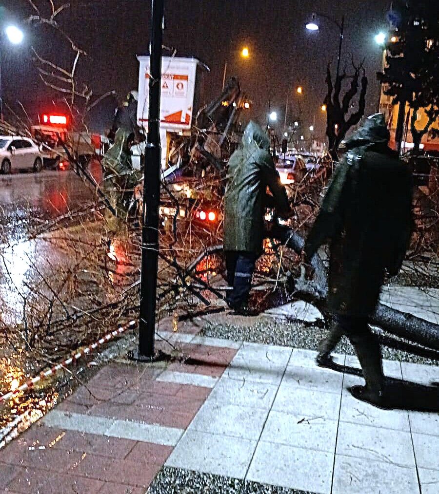 Whatsapp Image 2026 02 06 At 10.33.51