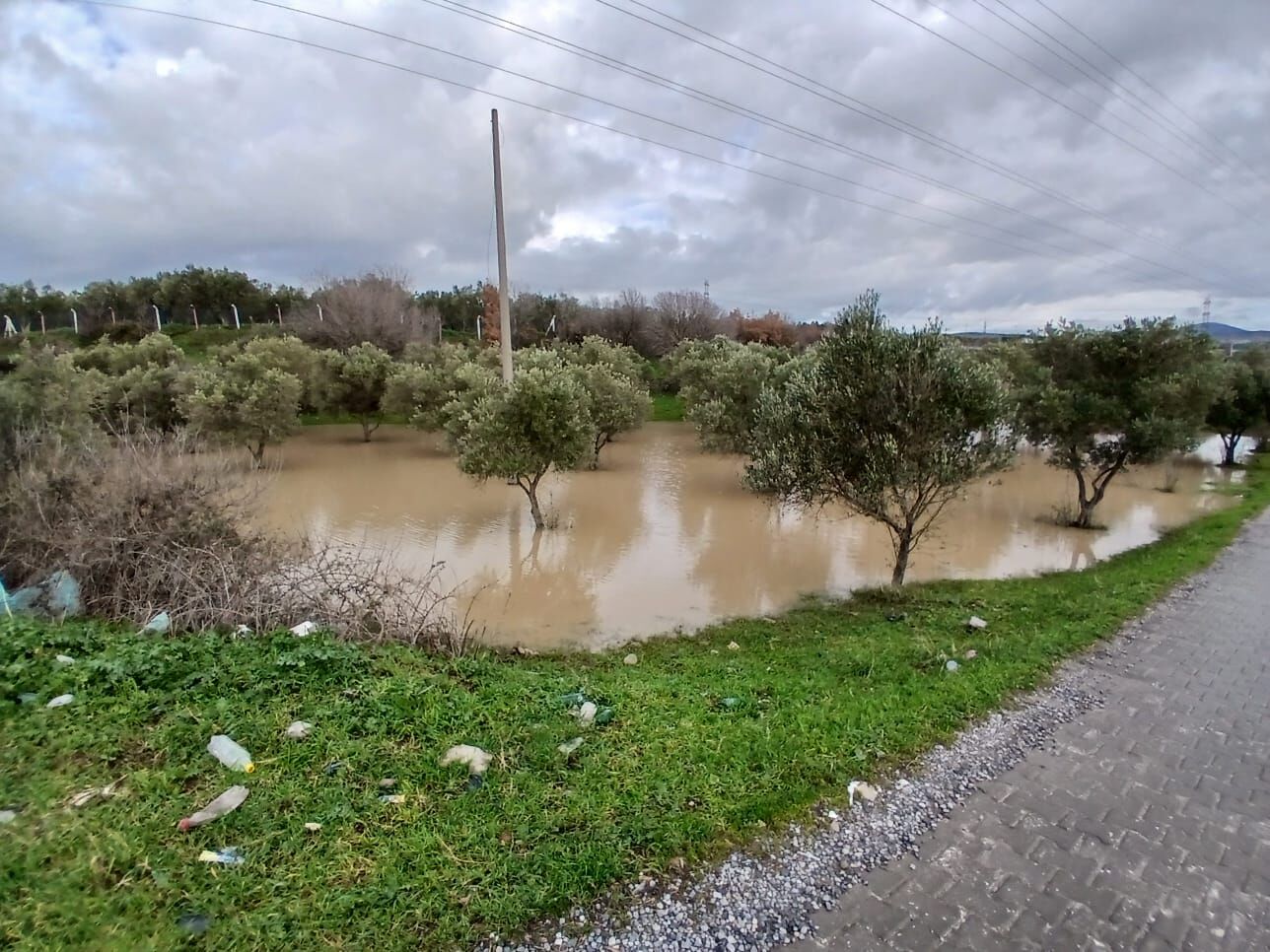 Whatsapp Image 2026 02 06 At 15.34.04 (1)