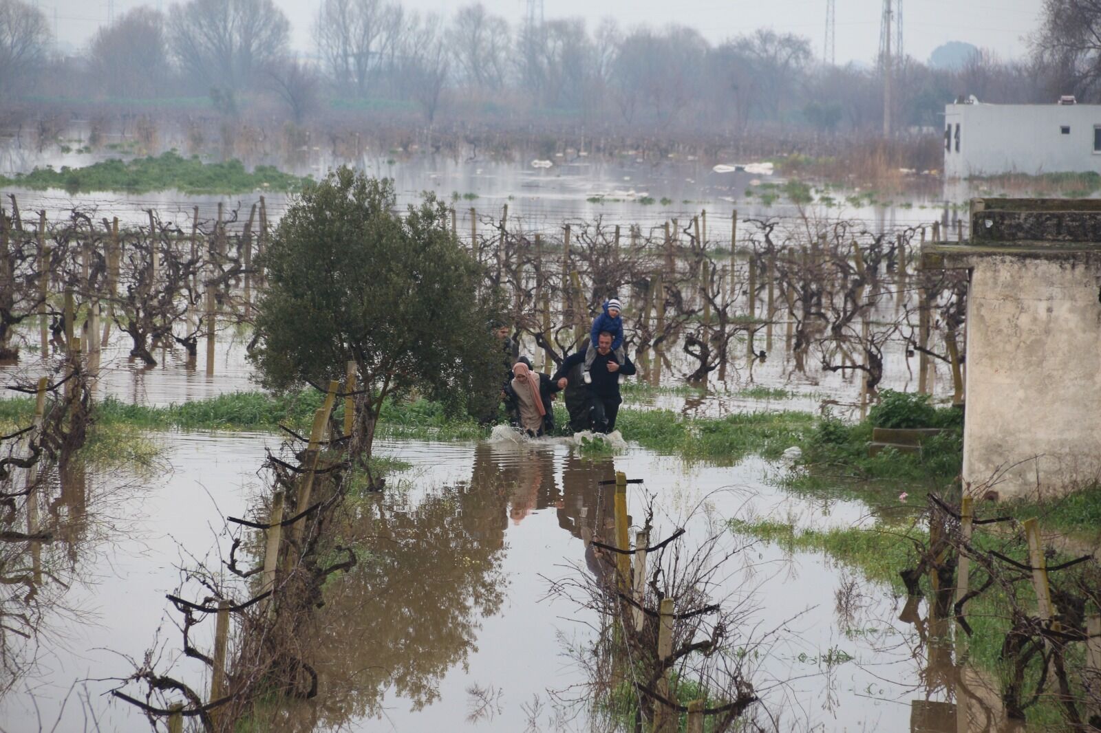 Whatsapp Image 2026 02 08 At 14.20.37