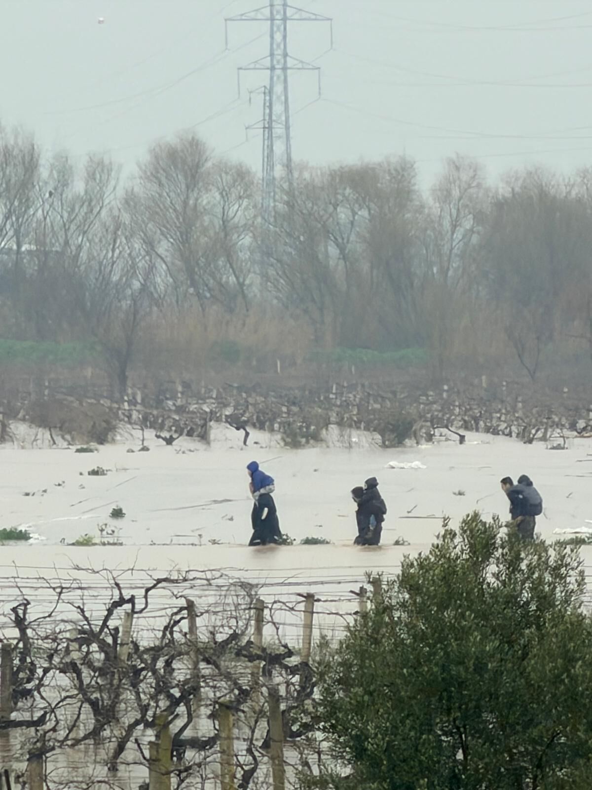 Whatsapp Image 2026 02 08 At 14.20.50