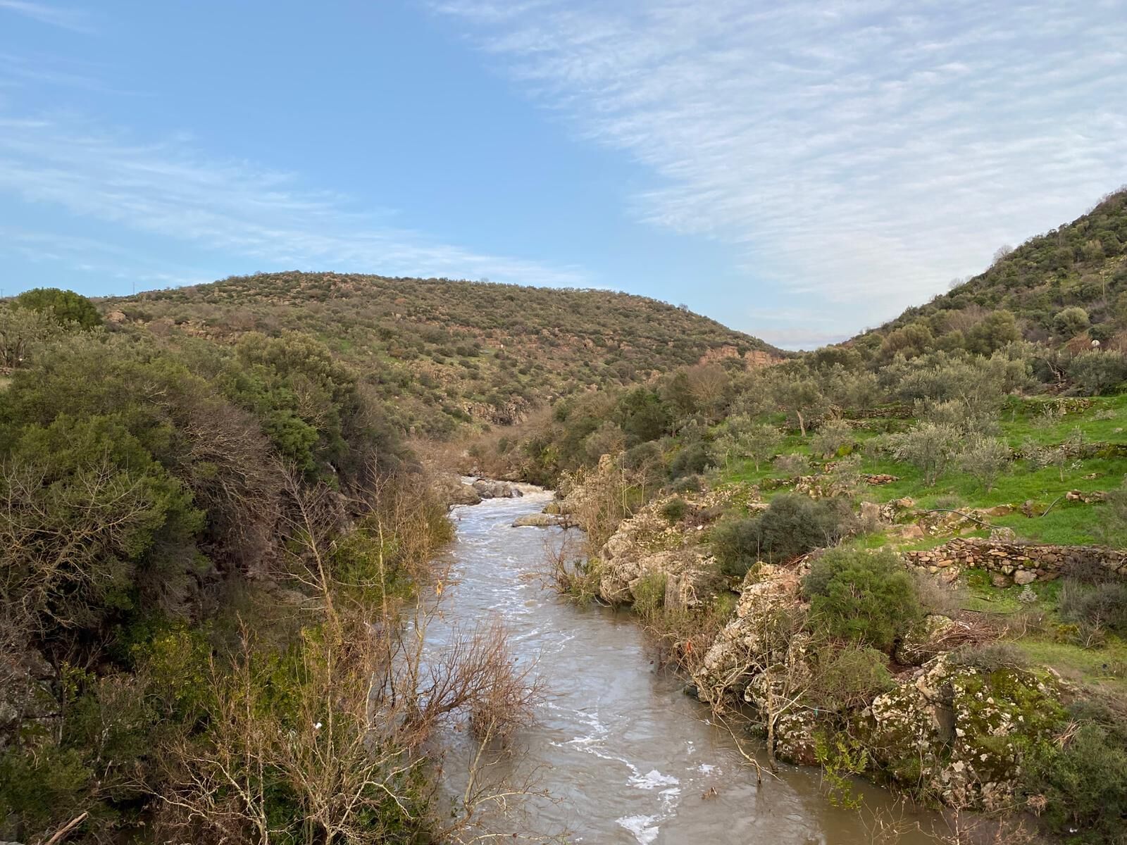 Whatsapp Image 2026 02 15 At 21.43.26 (1)