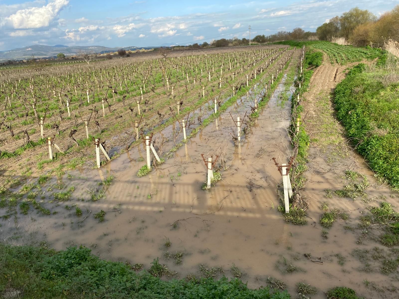 Whatsapp Image 2026 02 15 At 21.43.28