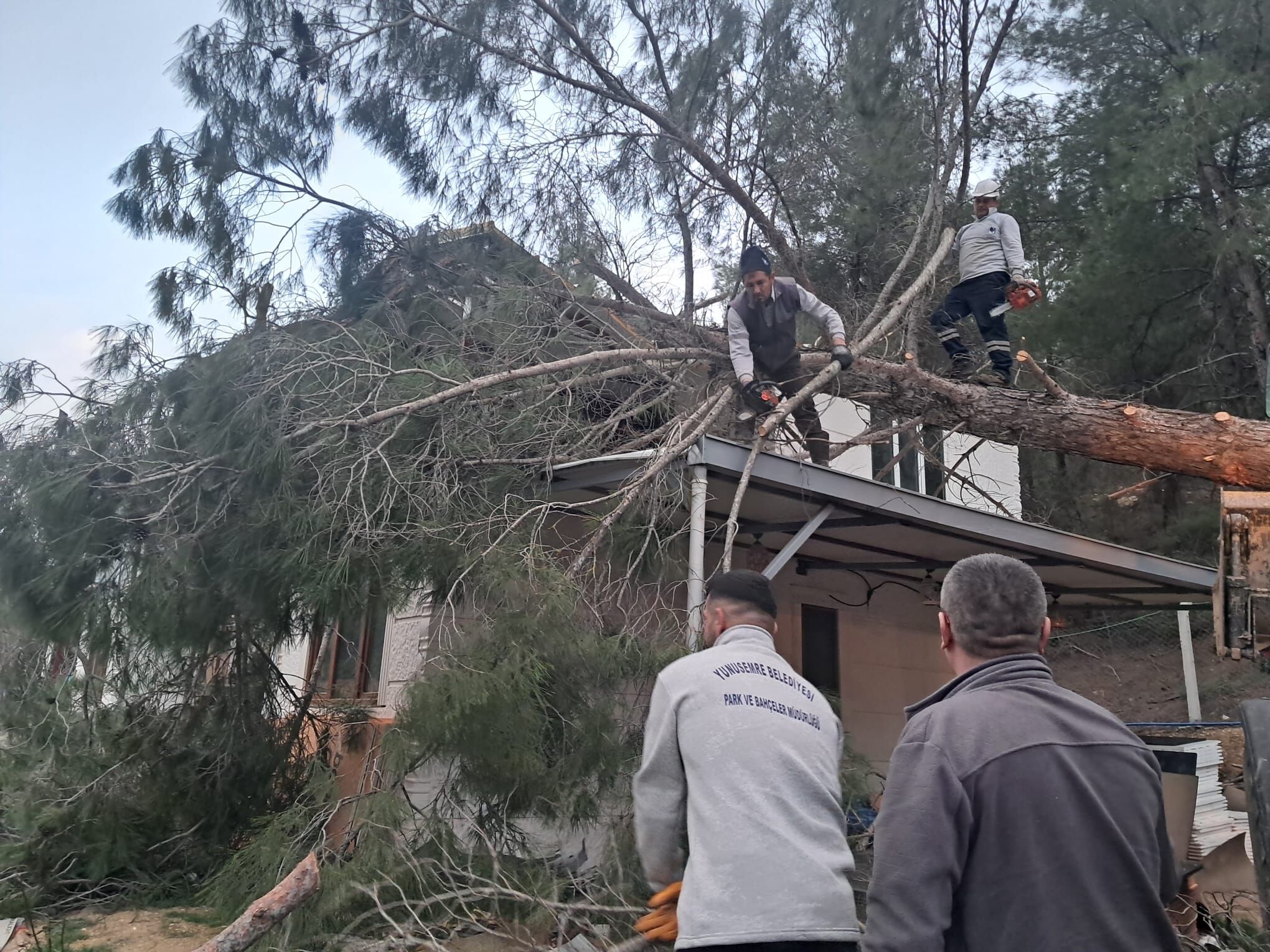 Whatsapp Image 2026 02 16 At 08.08.37 (1)