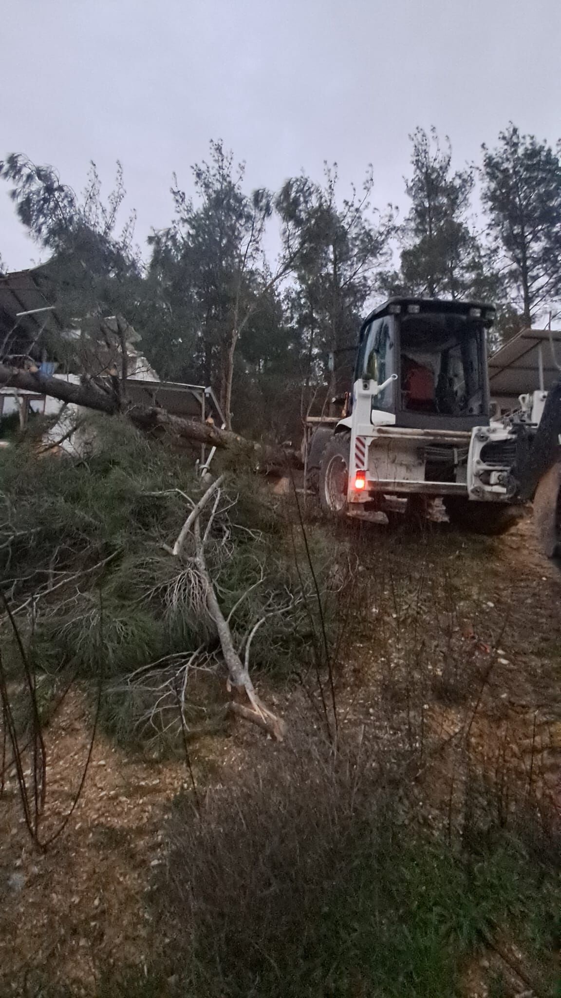 Whatsapp Image 2026 02 16 At 08.08.37