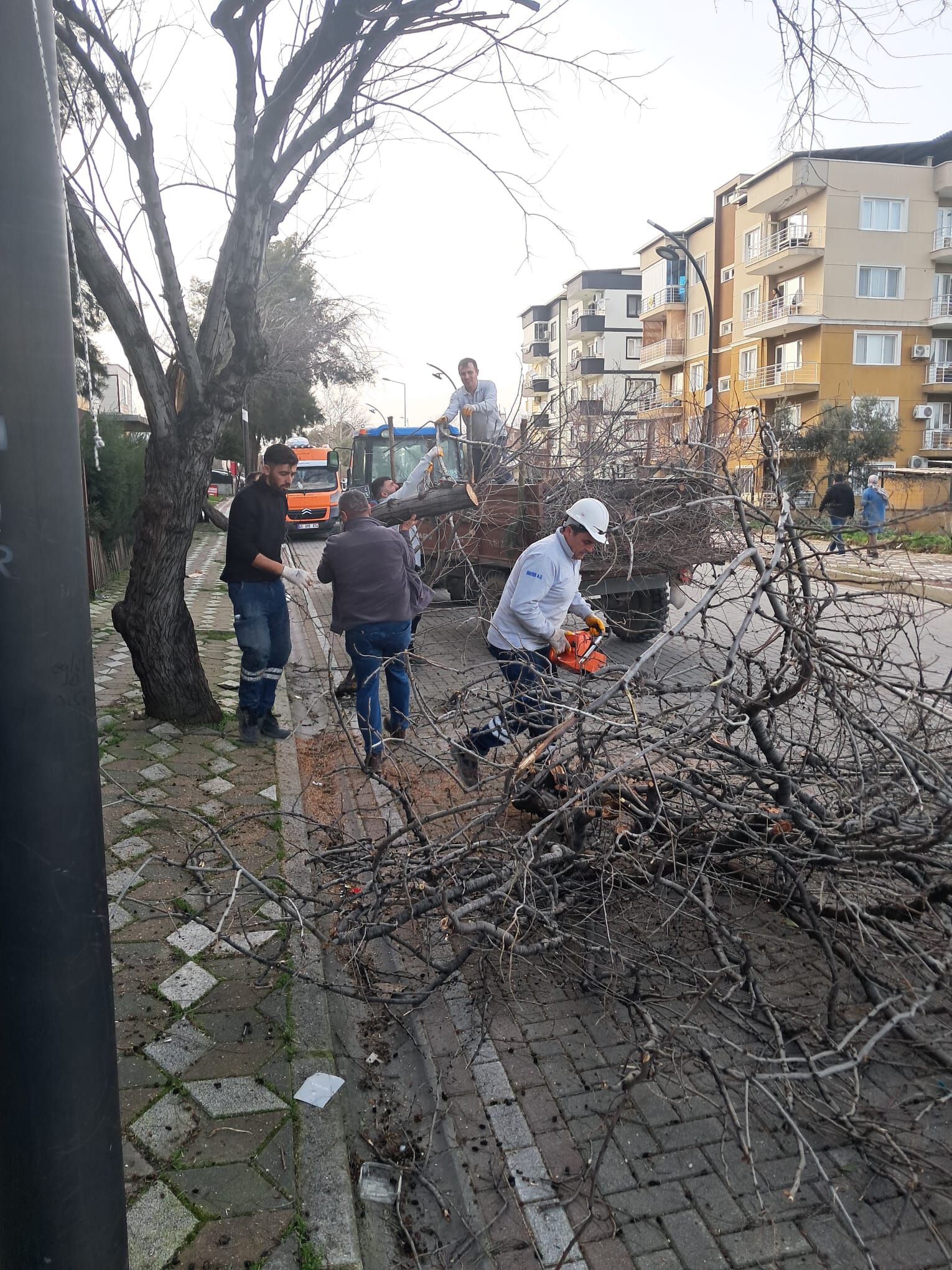 Whatsapp Image 2026 02 16 At 09.18.44 (2)