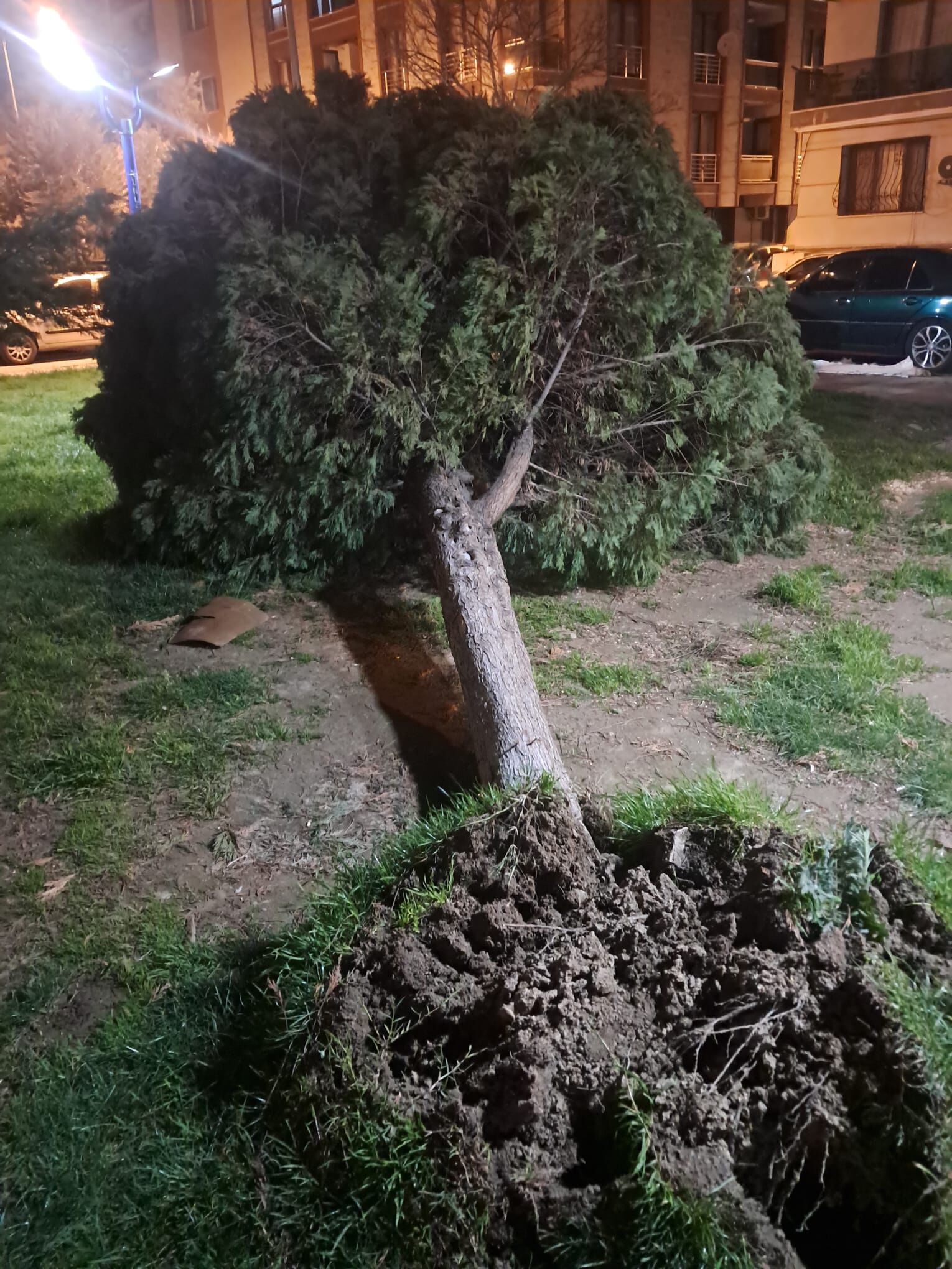 Whatsapp Image 2026 02 16 At 09.18.44