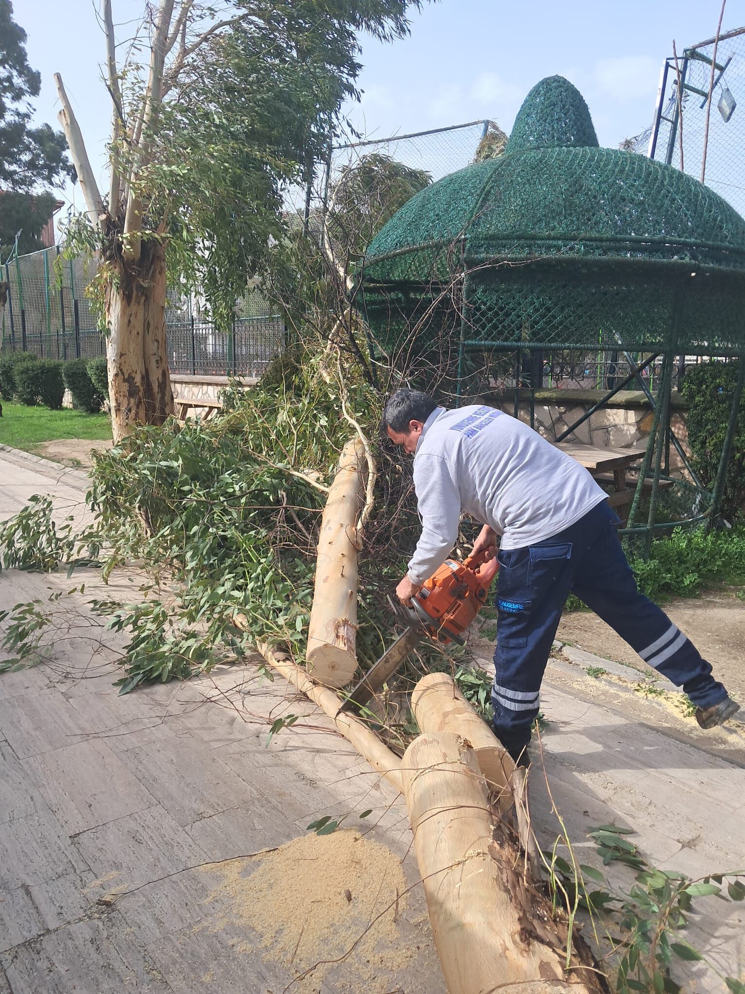 Whatsapp Image 2026 02 16 At 09.18.45 (1)