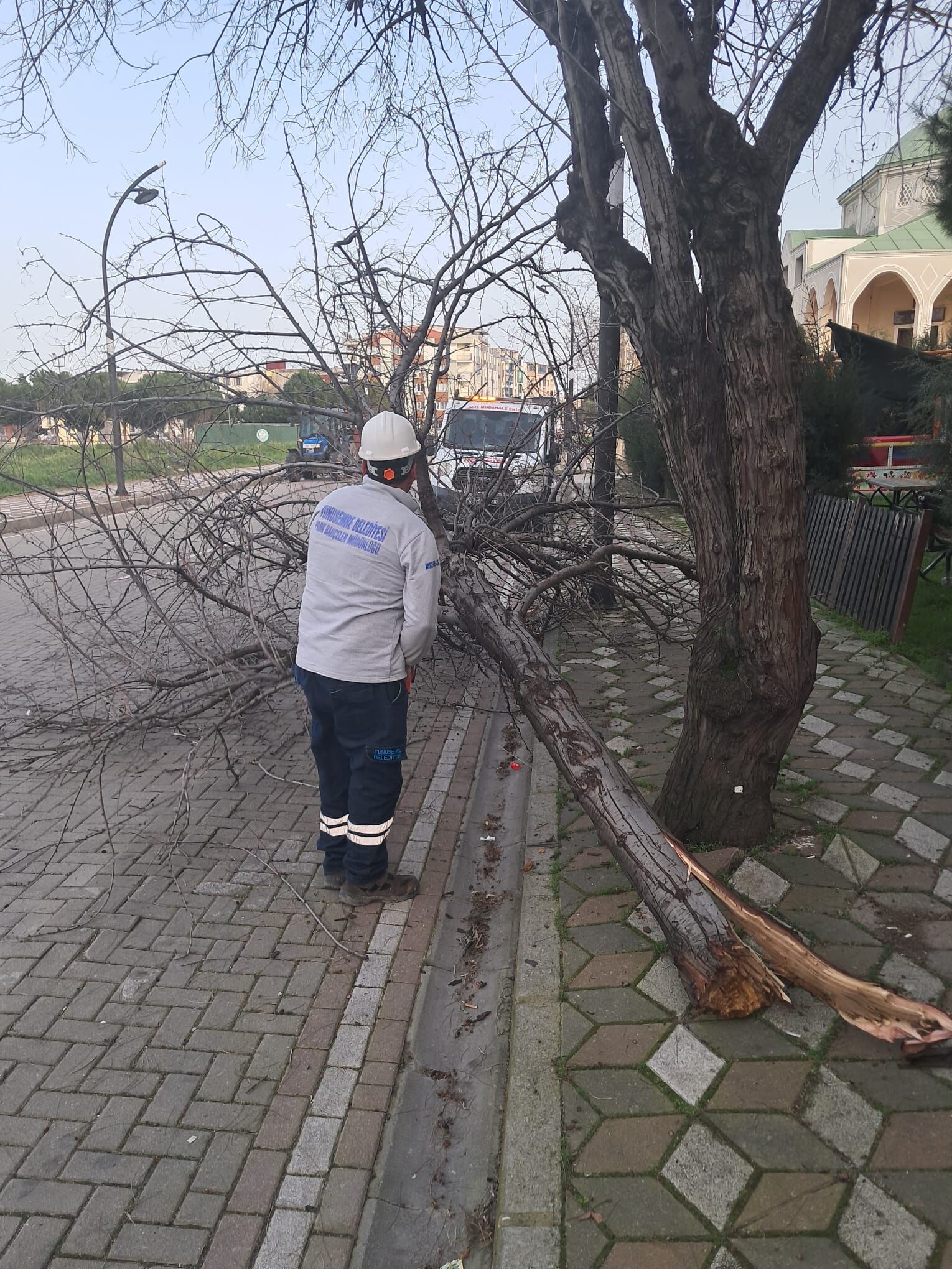 Whatsapp Image 2026 02 16 At 09.18.45