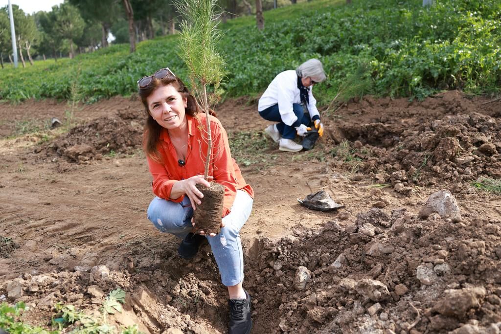 Whatsapp Image 2026 03 12 At 09.25.42