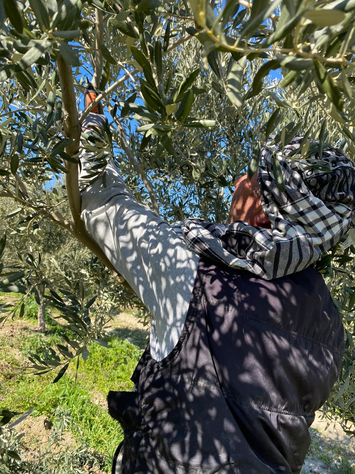 Whatsapp Image 2026 03 12 At 20.49.49 (2)