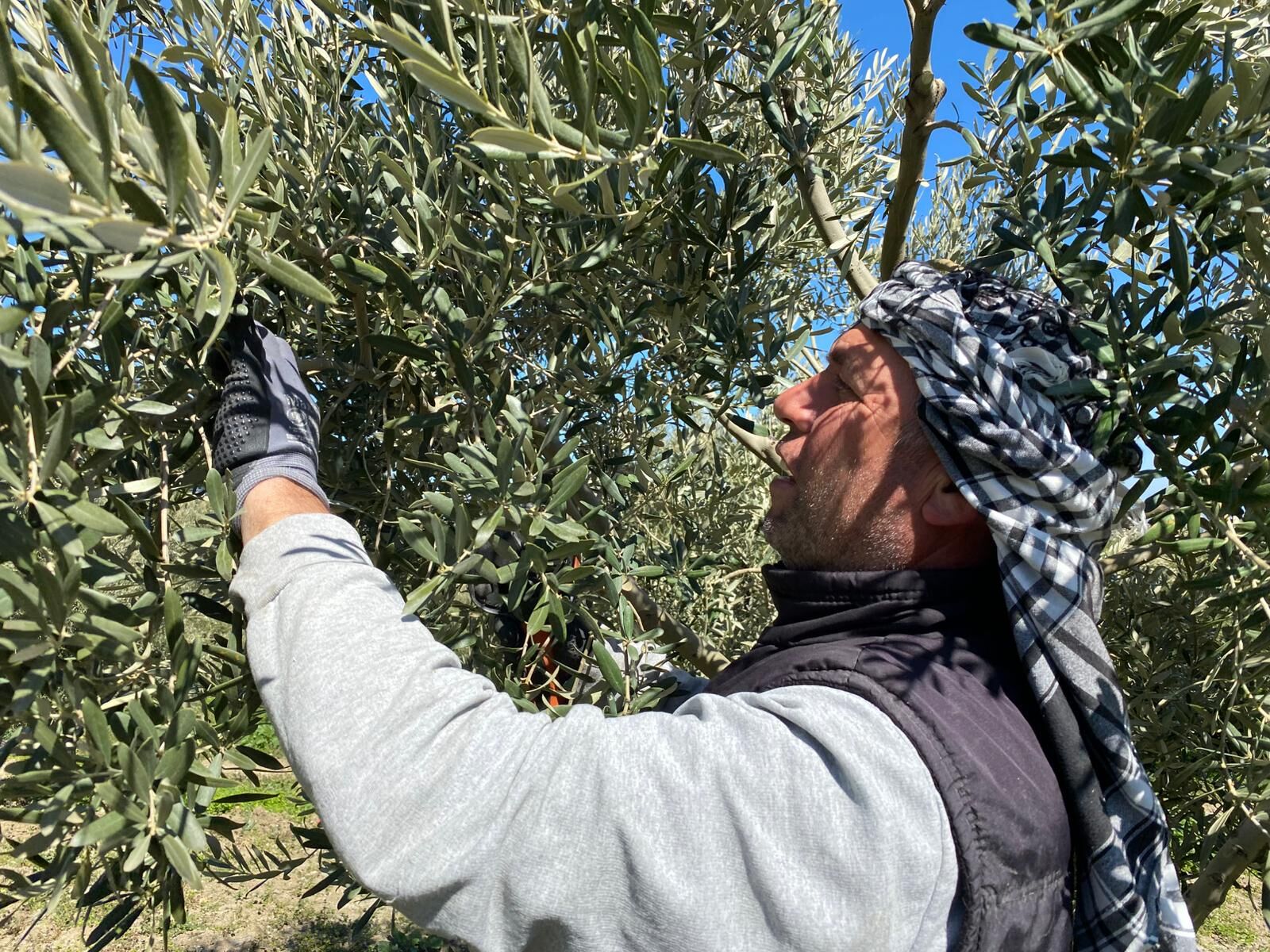 Whatsapp Image 2026 03 12 At 20.49.50 (2)