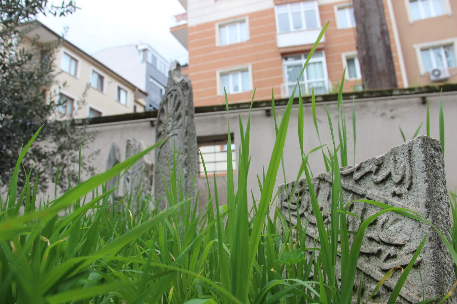 Whatsapp Image 2026 03 26 At 10.43.45 (1)