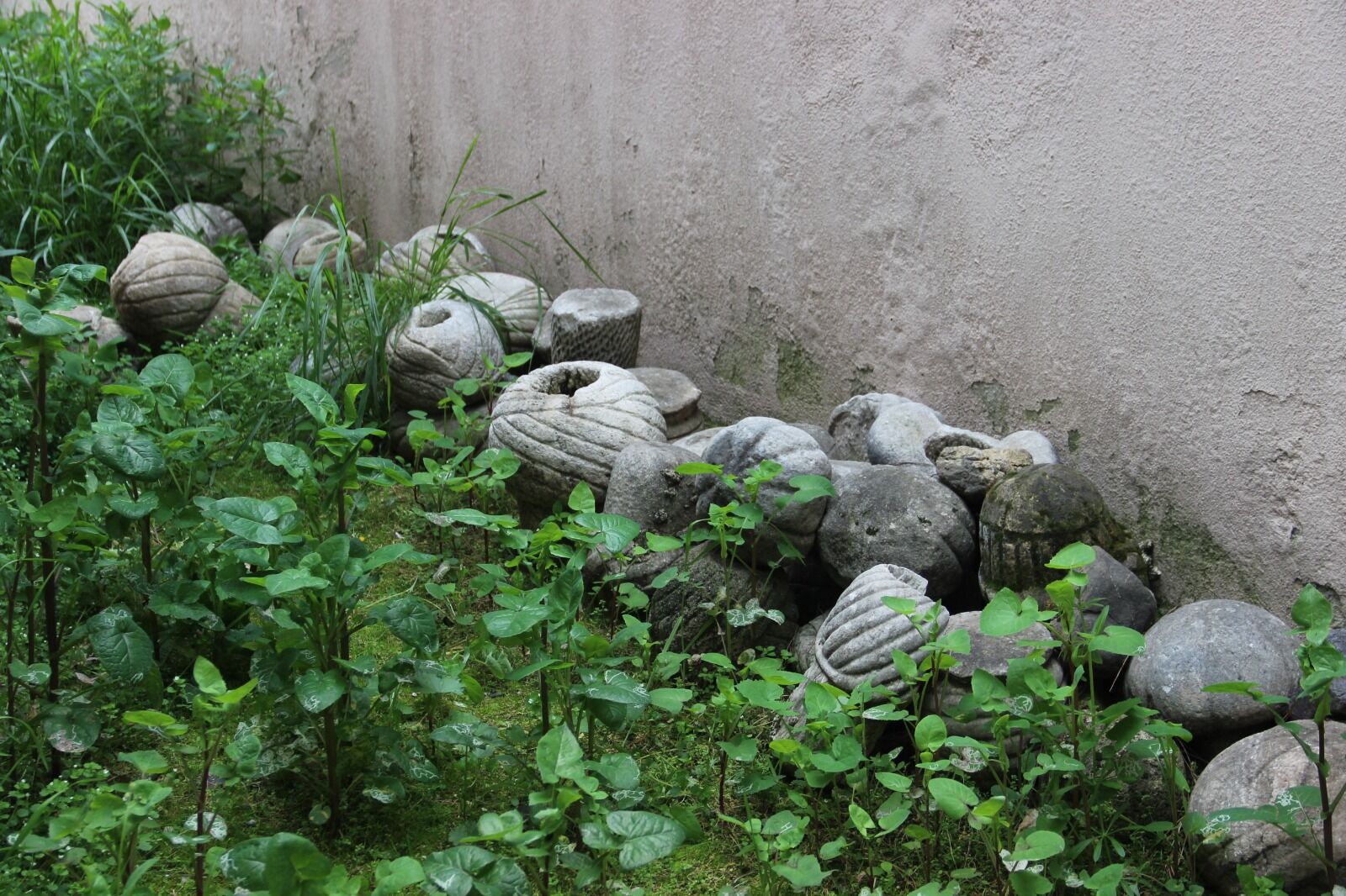 Whatsapp Image 2026 03 26 At 10.43.45 (3)