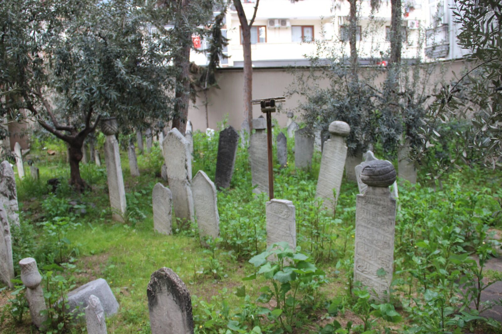 Whatsapp Image 2026 03 26 At 10.43.45 (4)