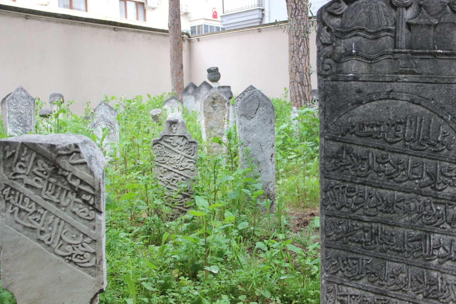 Whatsapp Image 2026 03 26 At 10.43.45 (8)