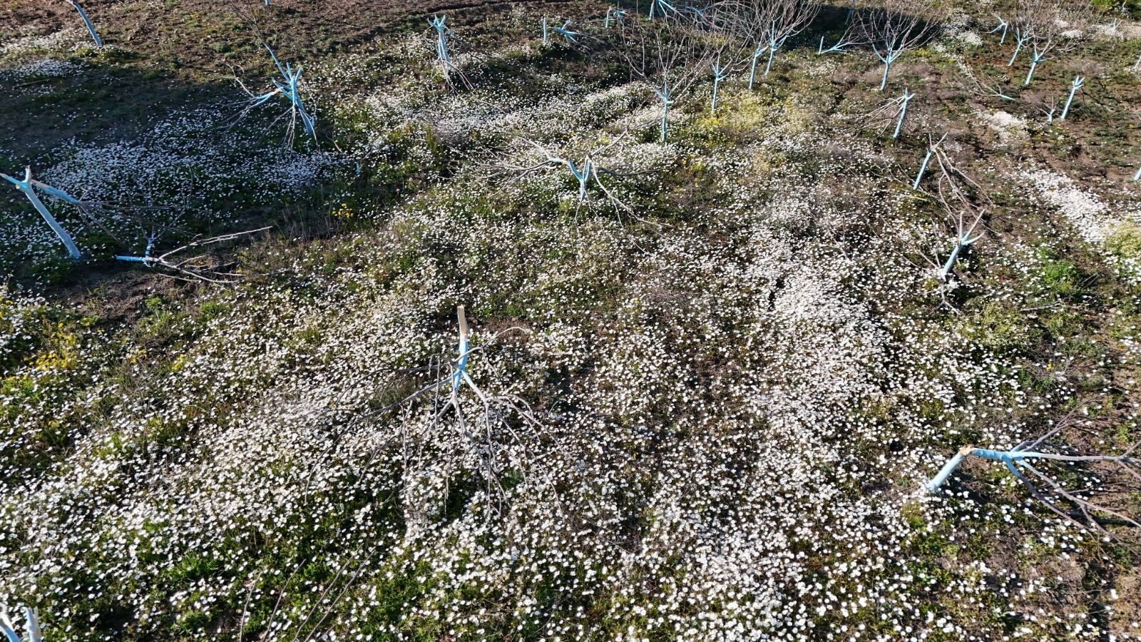 Whatsapp Image 2026 03 27 At 13.26.31 (1)