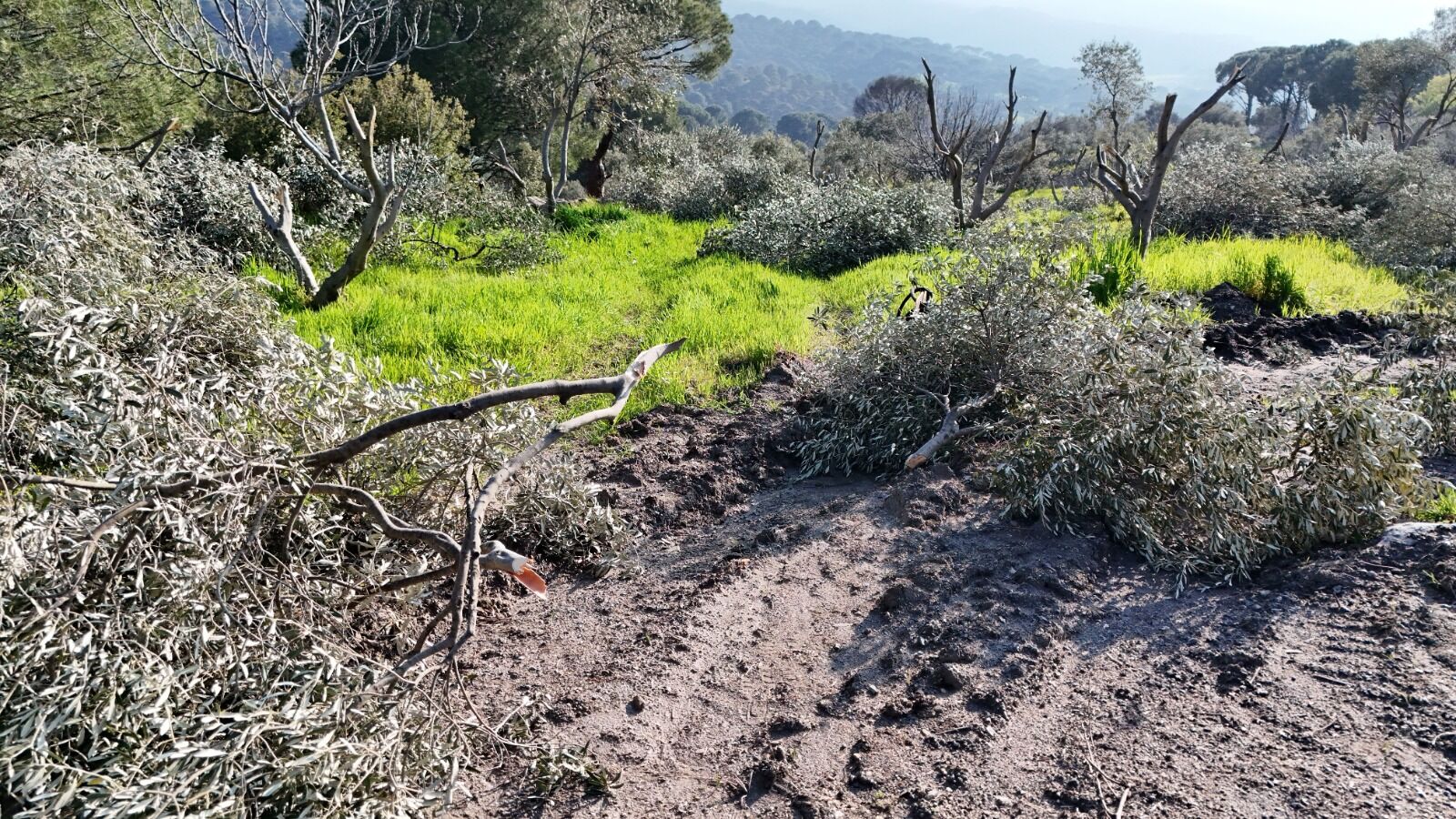 Whatsapp Image 2026 03 27 At 13.26.31 (2)