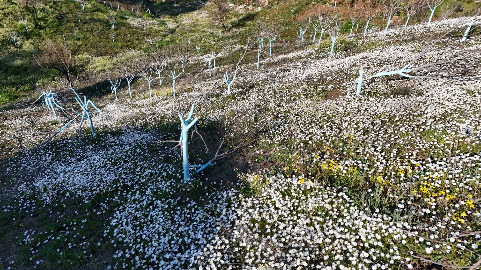 Whatsapp Image 2026 03 27 At 13.26.31 (3)