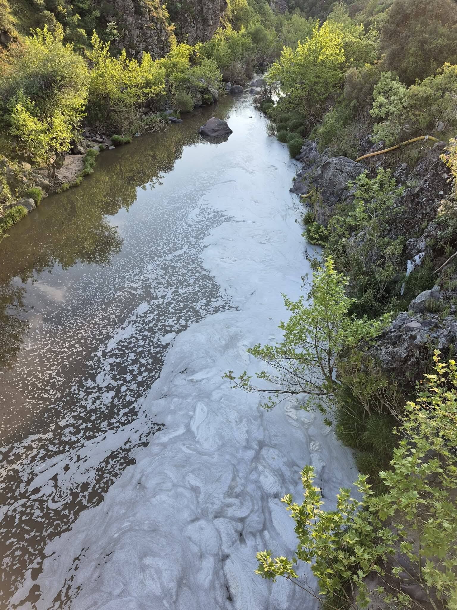 678831638 1621637873083450 4466762717326540544 N