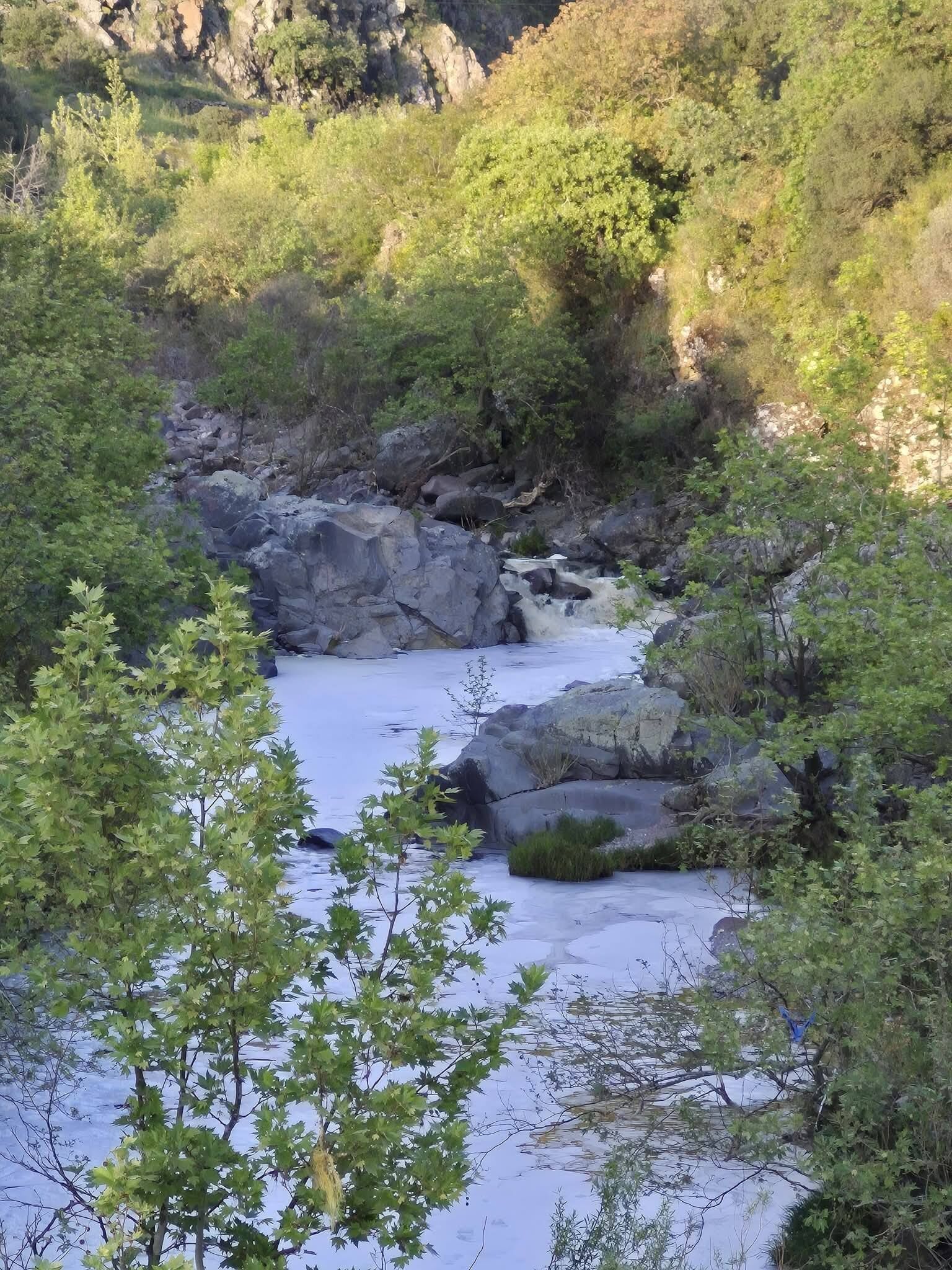 679030565 1621637769750127 8695255217323179684 N