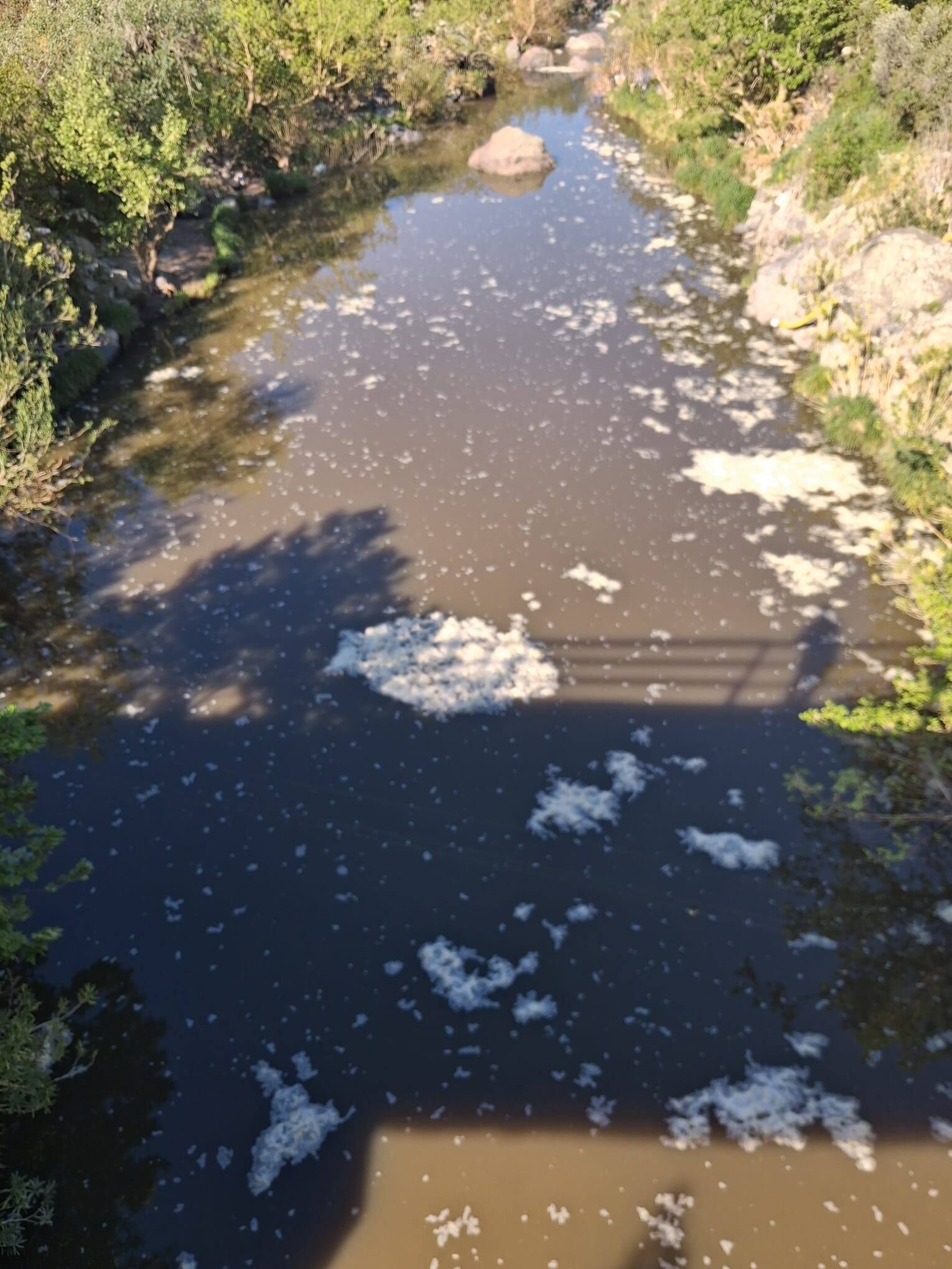 679105010 1621637406416830 4626505049798606844 N