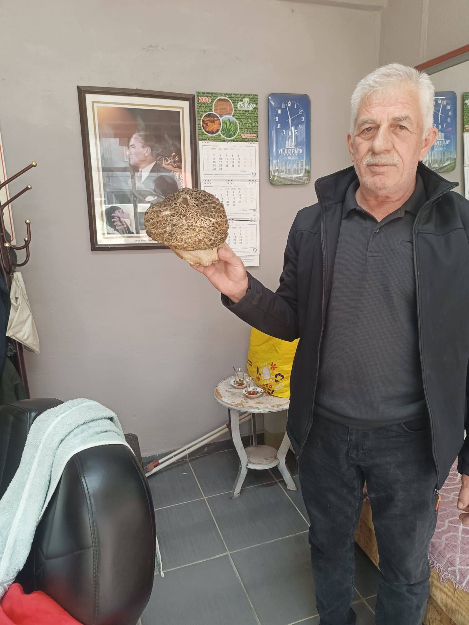 Devasa Kuzugöbeği Mantarı