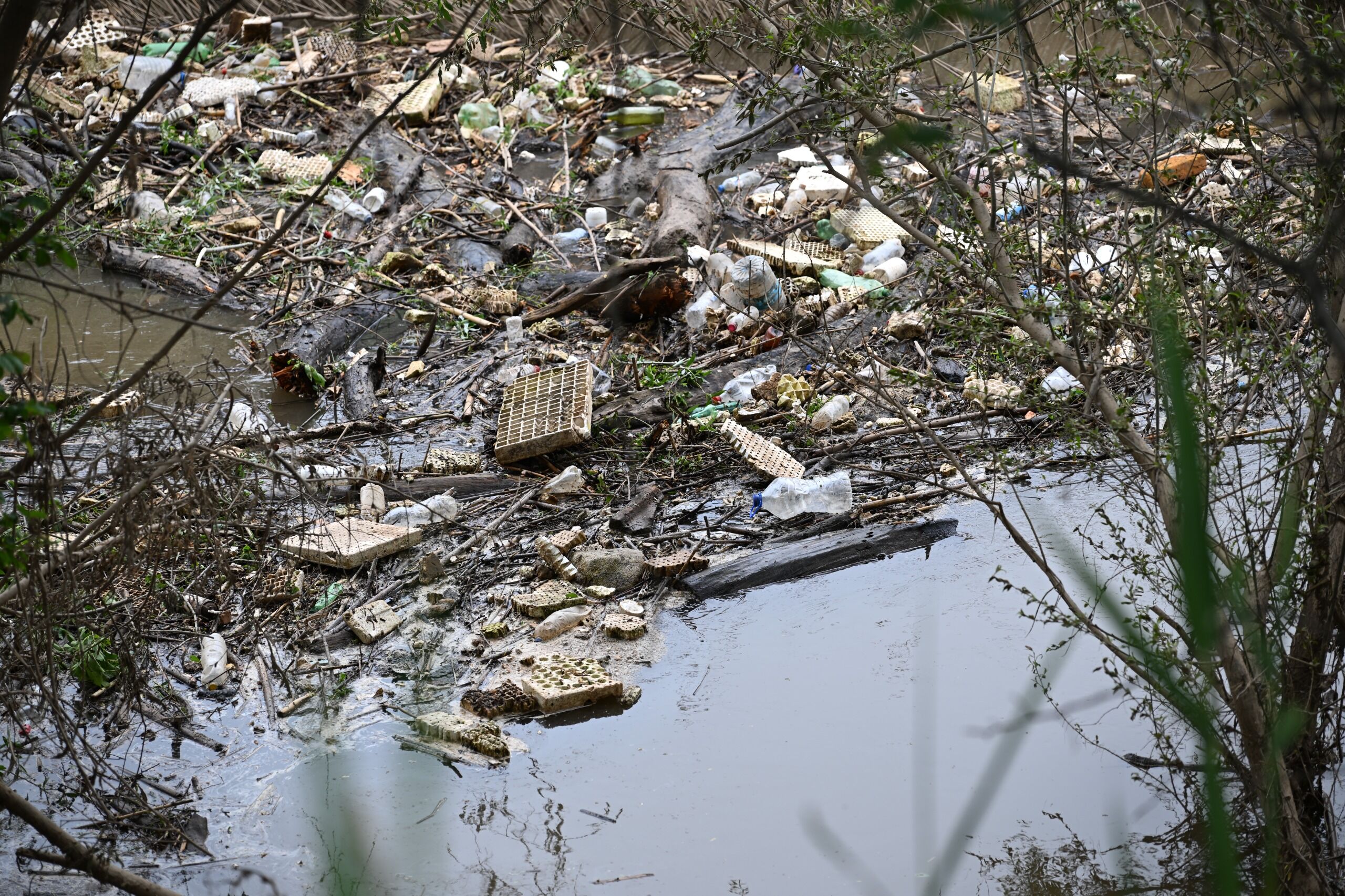 Gediz Ve Nif Çayı’nın Birleşim Noktasına Kritik Müdahale (2)