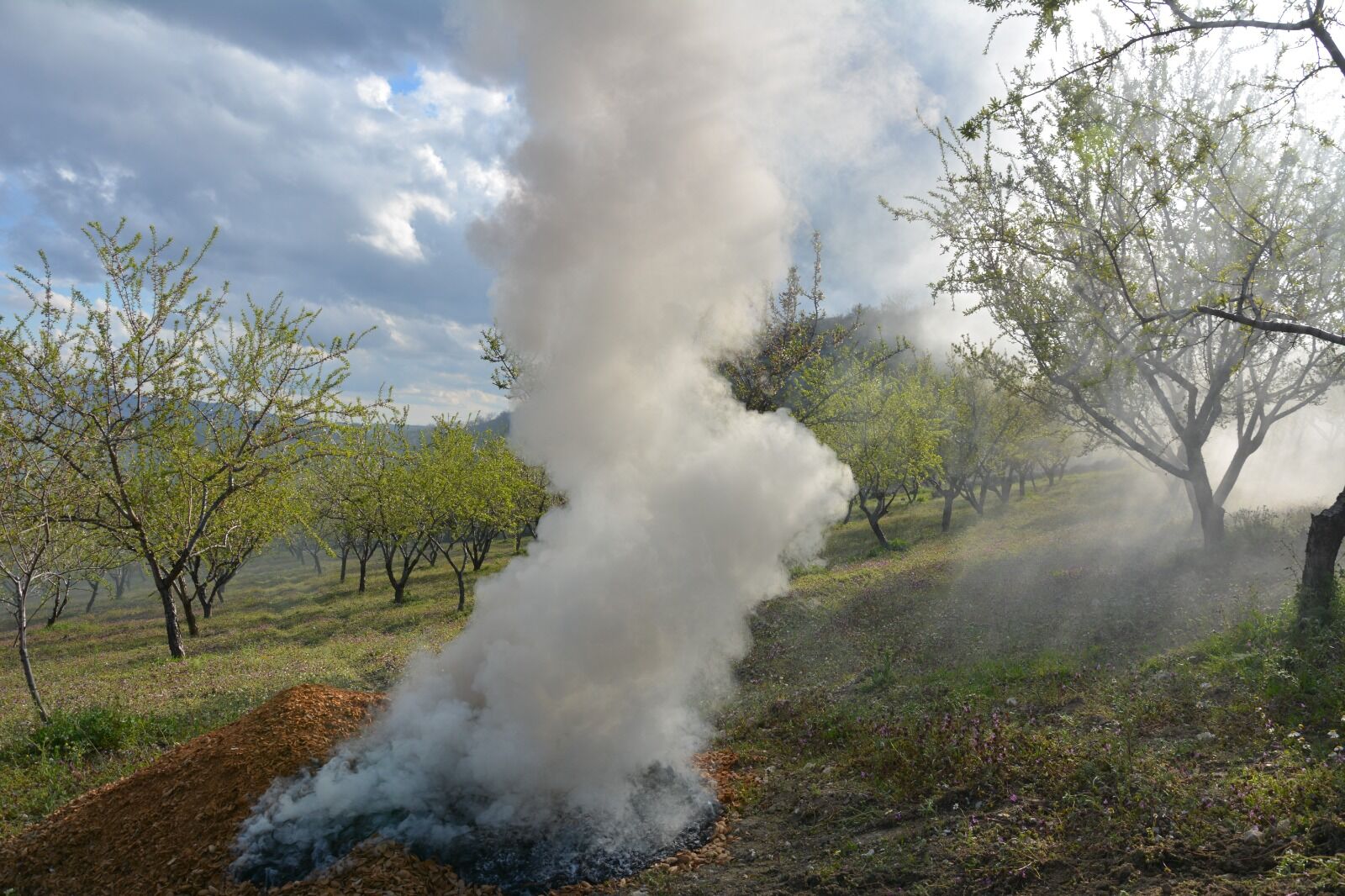 Whatsapp Image 2026 04 10 At 09.41.43 (1)