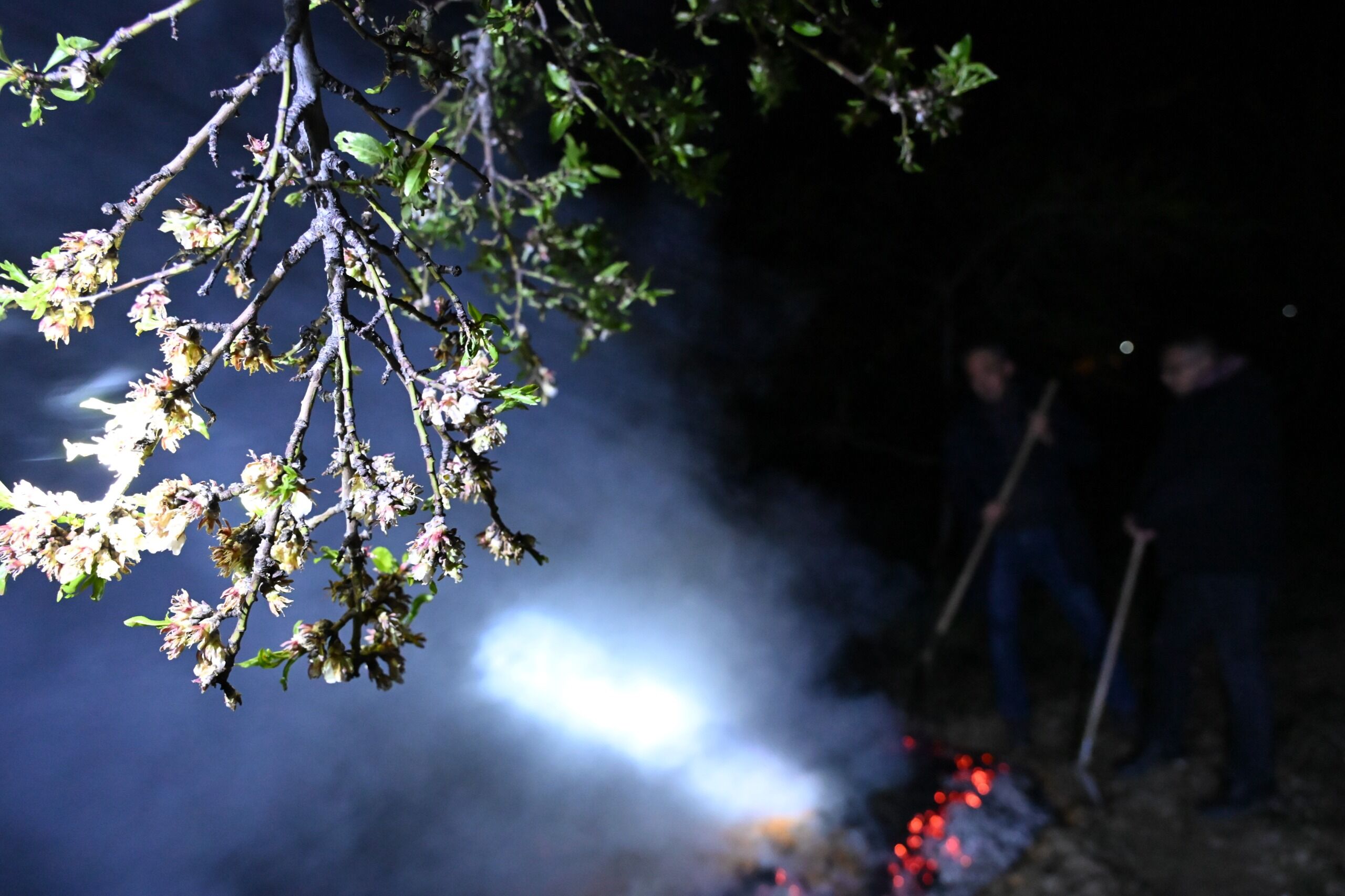 Whatsapp Image 2026 04 10 At 09.41.43