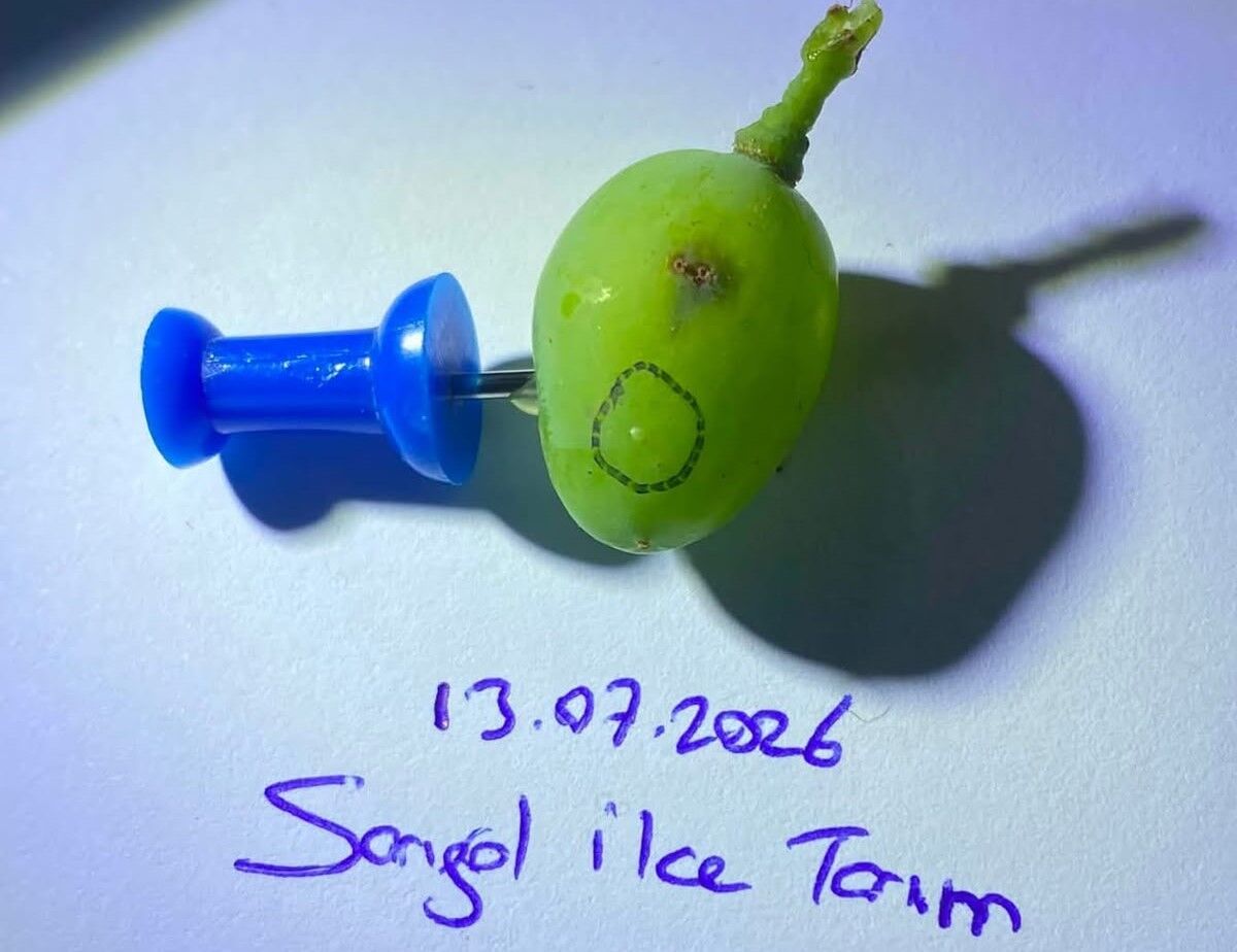 A W745884 01