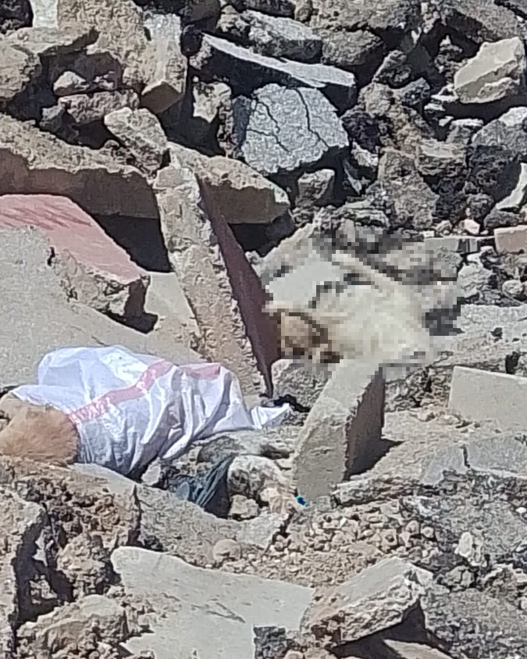 Alaşehir’de Vahşet Sokak Hayvanları Katlediliyor (2)