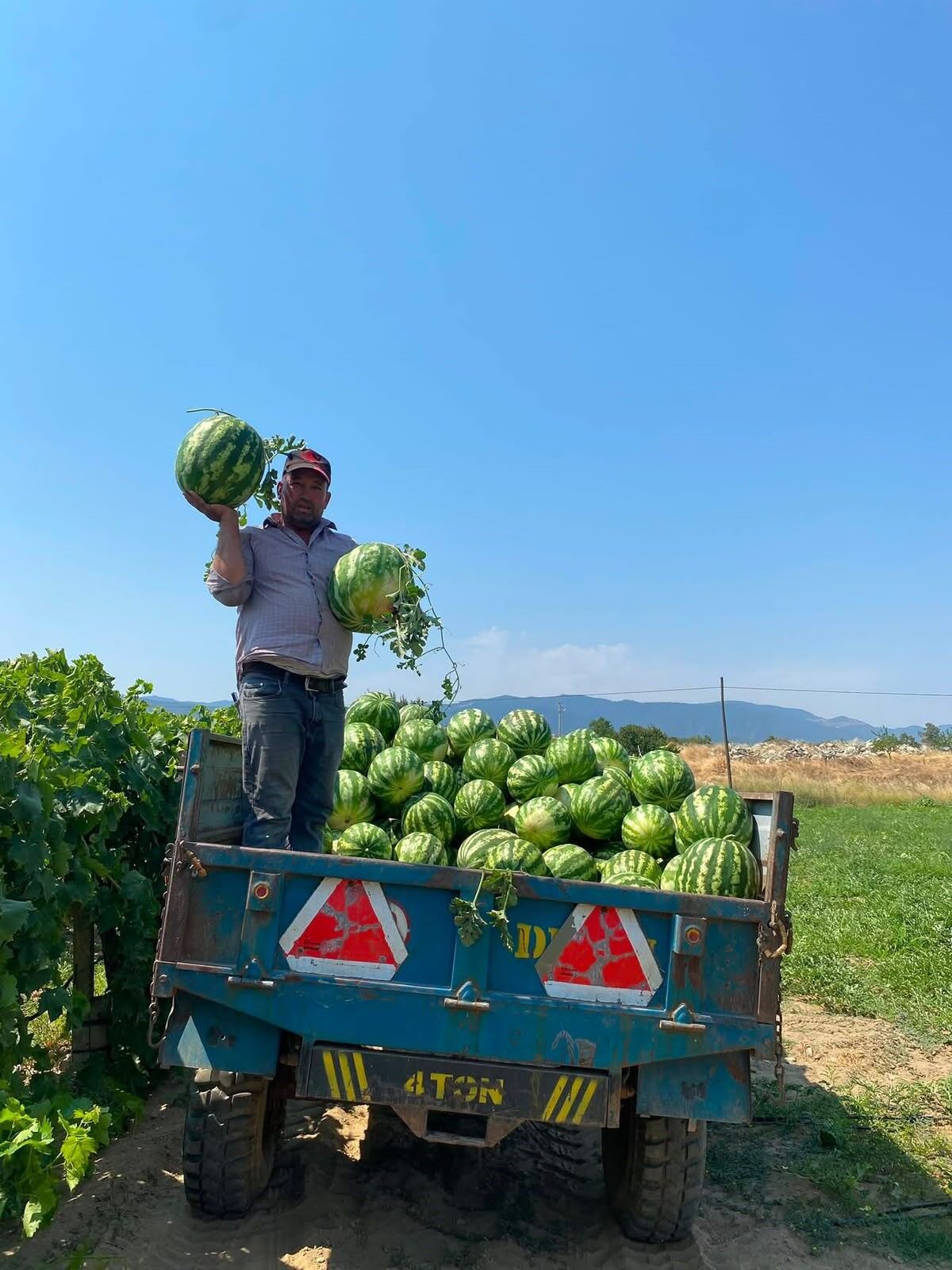 Tarlada para etmeyen karpuzu pazarda kendisi satıyor
